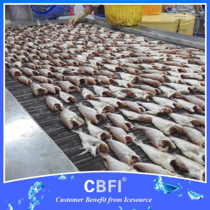 CBFI® IQF 隧道式冷冻机