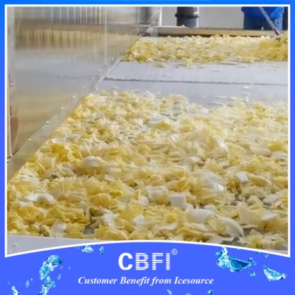 CBFI® IQF 隧道式冷冻机