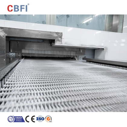 海鲜加工双螺旋冷冻机 Iqf 快速冷冻机