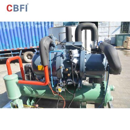 CBFI BF10000 10 吨/天海水片冰机