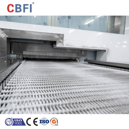 用于冷链物流的 IQF 双螺旋速冻机