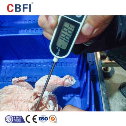 用于冷链物流的 IQF 双螺旋速冻机