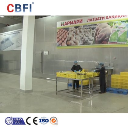 用于冷链物流的 IQF 双螺旋速冻机