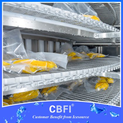 CBFI® 螺旋式冷冻机
