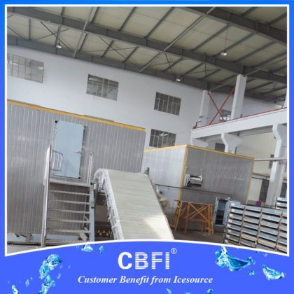 CBFI® 流化快速冷冻机