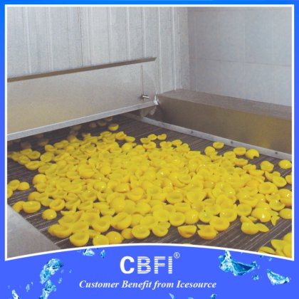 CBFI® 流化快速冷冻机