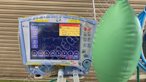 纽波特 VELA 全面类型 D