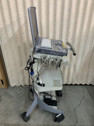 GE 健康护理 LOGIQ e