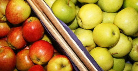 Sortieranlage Type Perfect