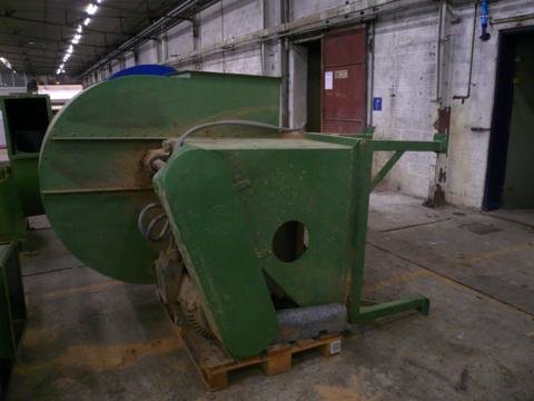 fan in Kortrijk, Belgium