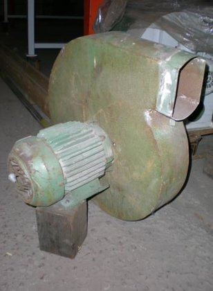 fan in Kortrijk, Belgium