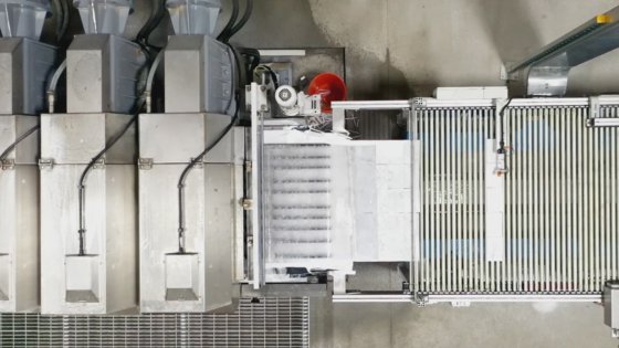 Breton Linha amostras