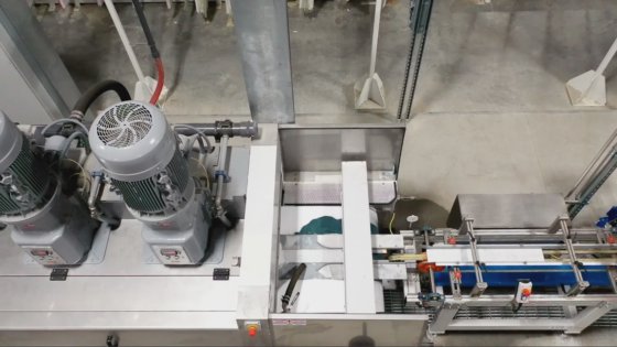 Breton Linha amostras