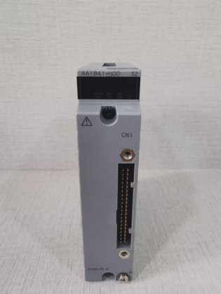 AAI841 YOKOGAWA AAI841-H00 STYLE S2