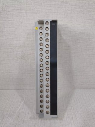 YOKOGAWA AMM42T STYLE S2 2-WIRE