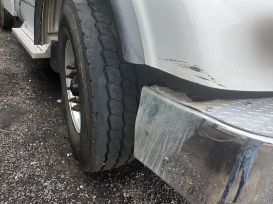 2013年ペトリビル365