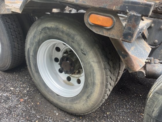 2013年ペトリビル365