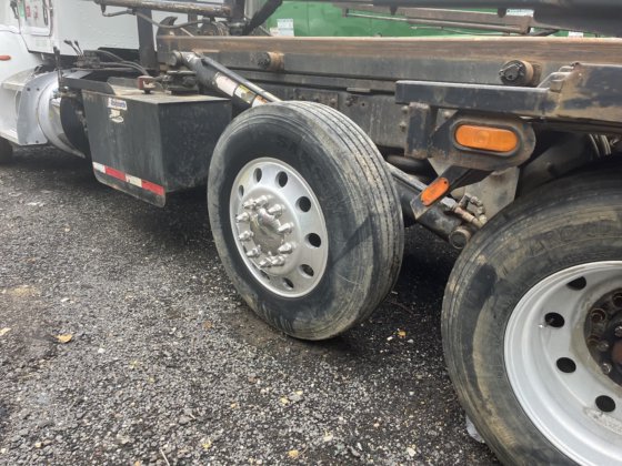 2013年ペトリビル365