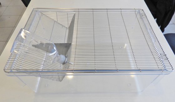 透明笼子，带不锈钢网格盖