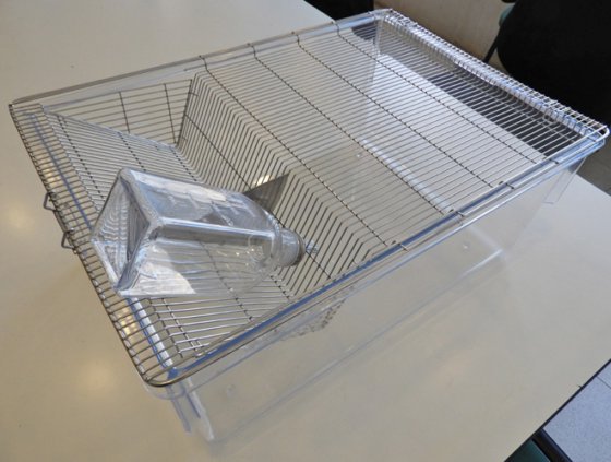 透明笼子，带不锈钢网格盖