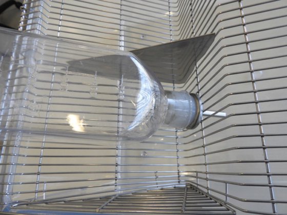 透明笼子，带不锈钢网格盖