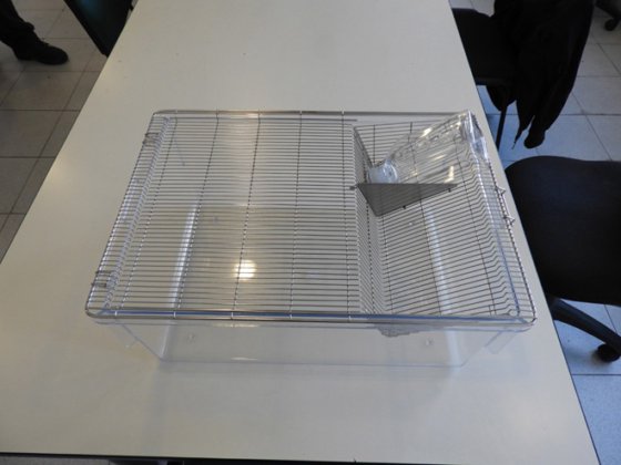 透明笼子，带不锈钢网格盖