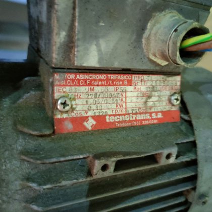 啮齿动物传送带