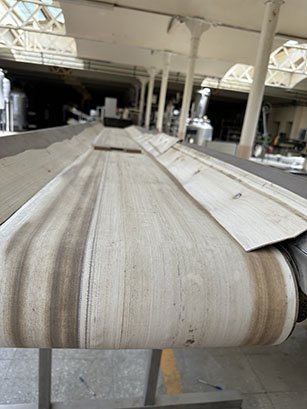 2005 MARTIN MAQ CPIC04/50