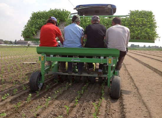 Hortech PRACTICA MIDI 移植