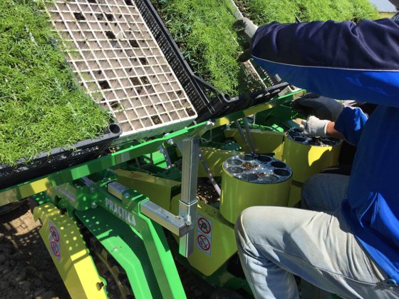 Hortech PRACTICA MIDI 移植