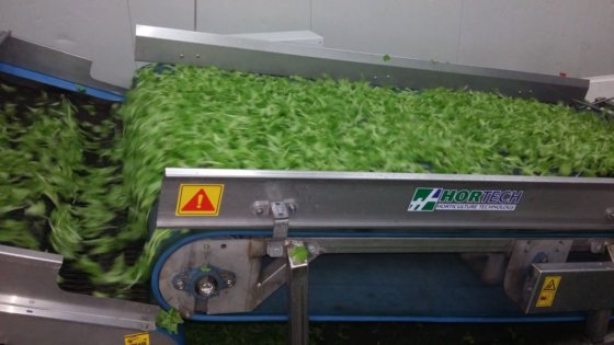 浩特市抖音站的收获