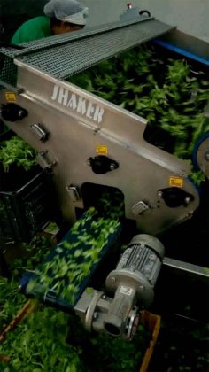 浩特市抖音站的收获