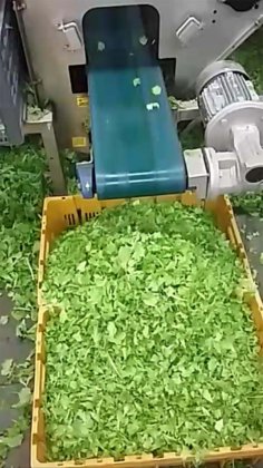 浩特市抖音站的收获