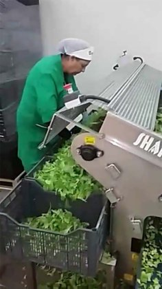 浩特市抖音站的收获