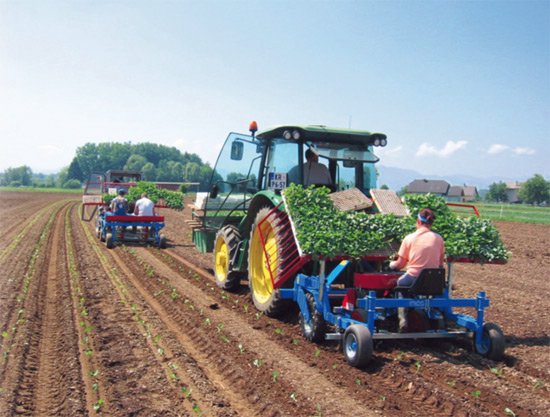 ホーテック PRACTICA DUO 移植機