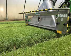 霍泰尔-霍弗鱼收获