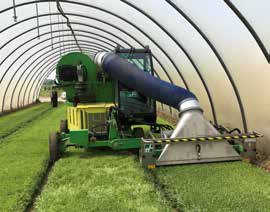 霍泰尔-霍弗鱼收获