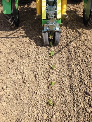 Hortech OVER + OVER PLUS