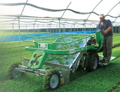 ホーテックSLIDE SMALLハーベスト