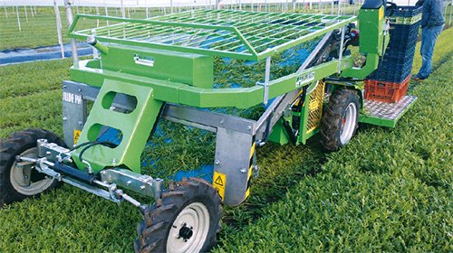 ホーテックSLIDE SMALLハーベスト