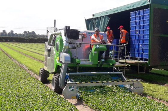 ホーテック VENTUMハーベスト