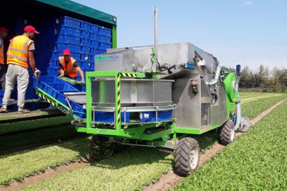 ホーテック VENTUMハーベスト