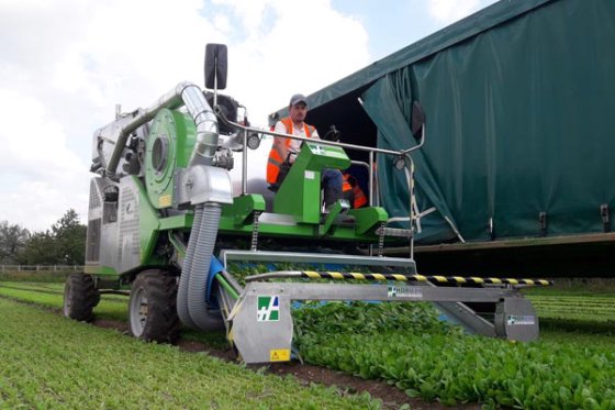 ホーテック VENTUMハーベスト