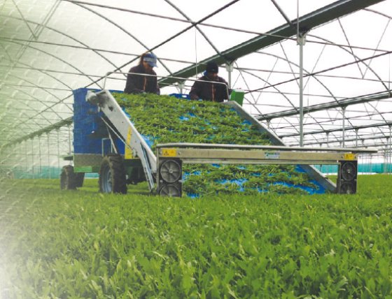 ホーテックSLIDE ECOハーベスト