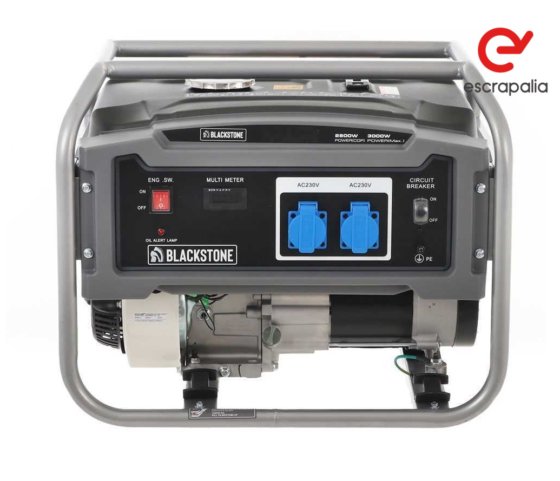 2800 瓦汽油发电机，带 2 个插座（新）