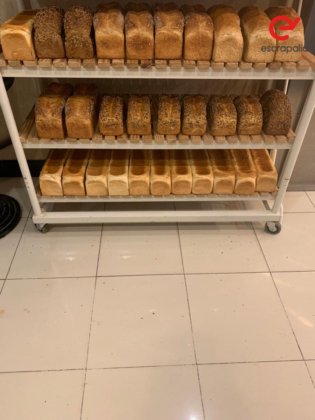 单一的面包房机械与设备批次