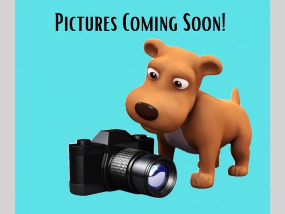 2014 Excel WINSLOW Excel WINSLOW