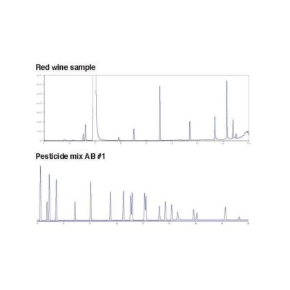 200系列紧凑型气相色谱仪
