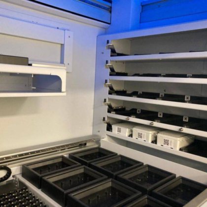 ダイネックス・アジリティ