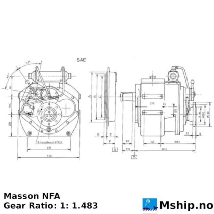 Masson Marine NFA